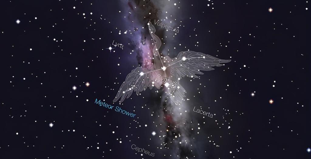 星空梦，梦间天鹅