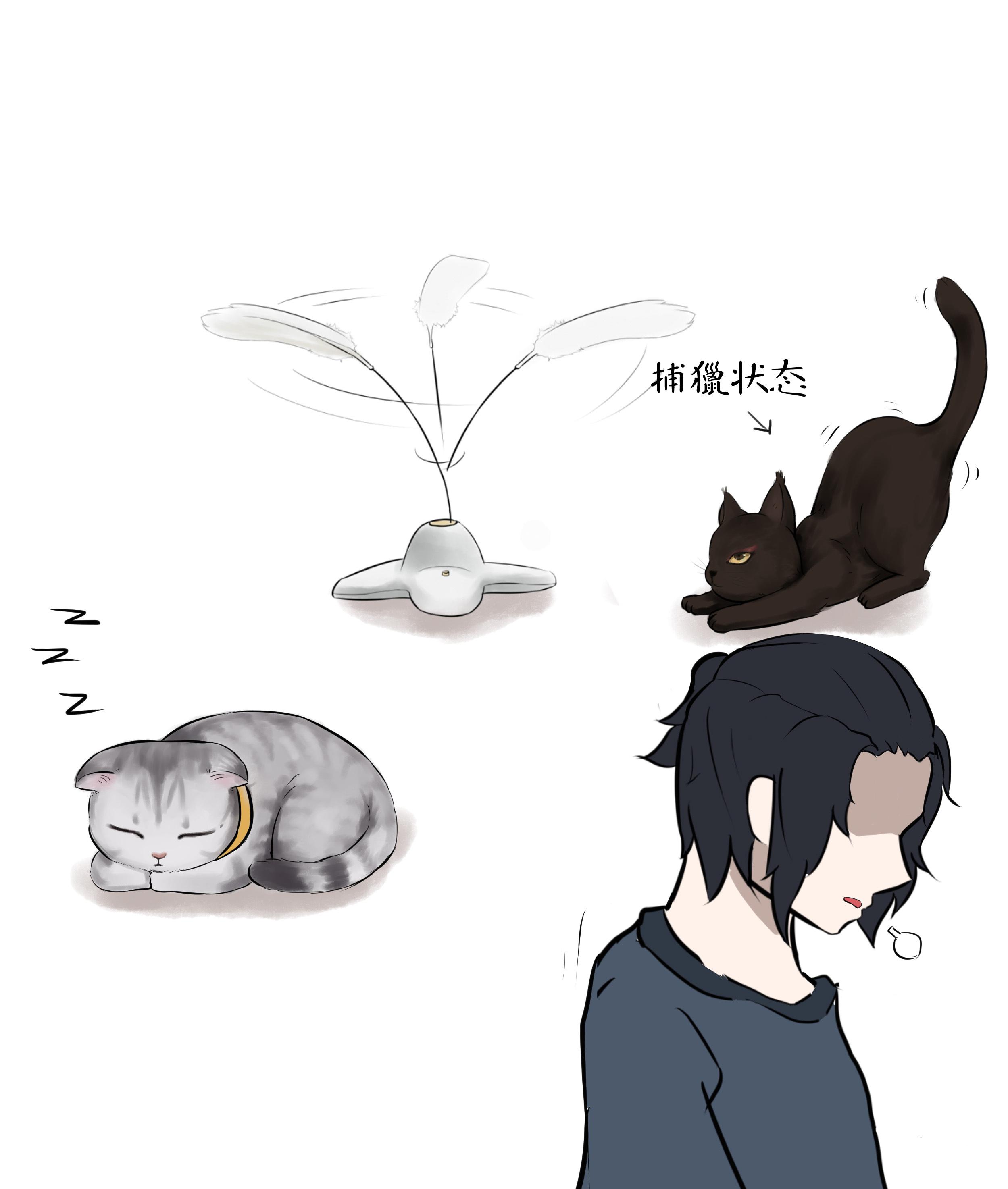 奇妙探险队：搜搜乐趣无穷