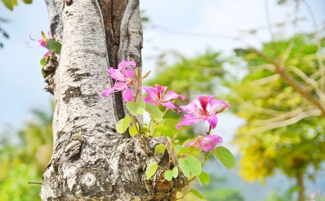 《爱的四季物语》第六期：夏日炎炎，我坐在家里