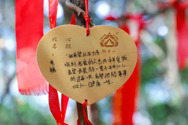 实现心愿，尽享MHLS