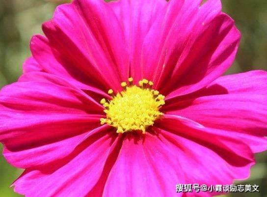 姓名测试婚姻配对_测试姓名_姓名测试打分周易免费