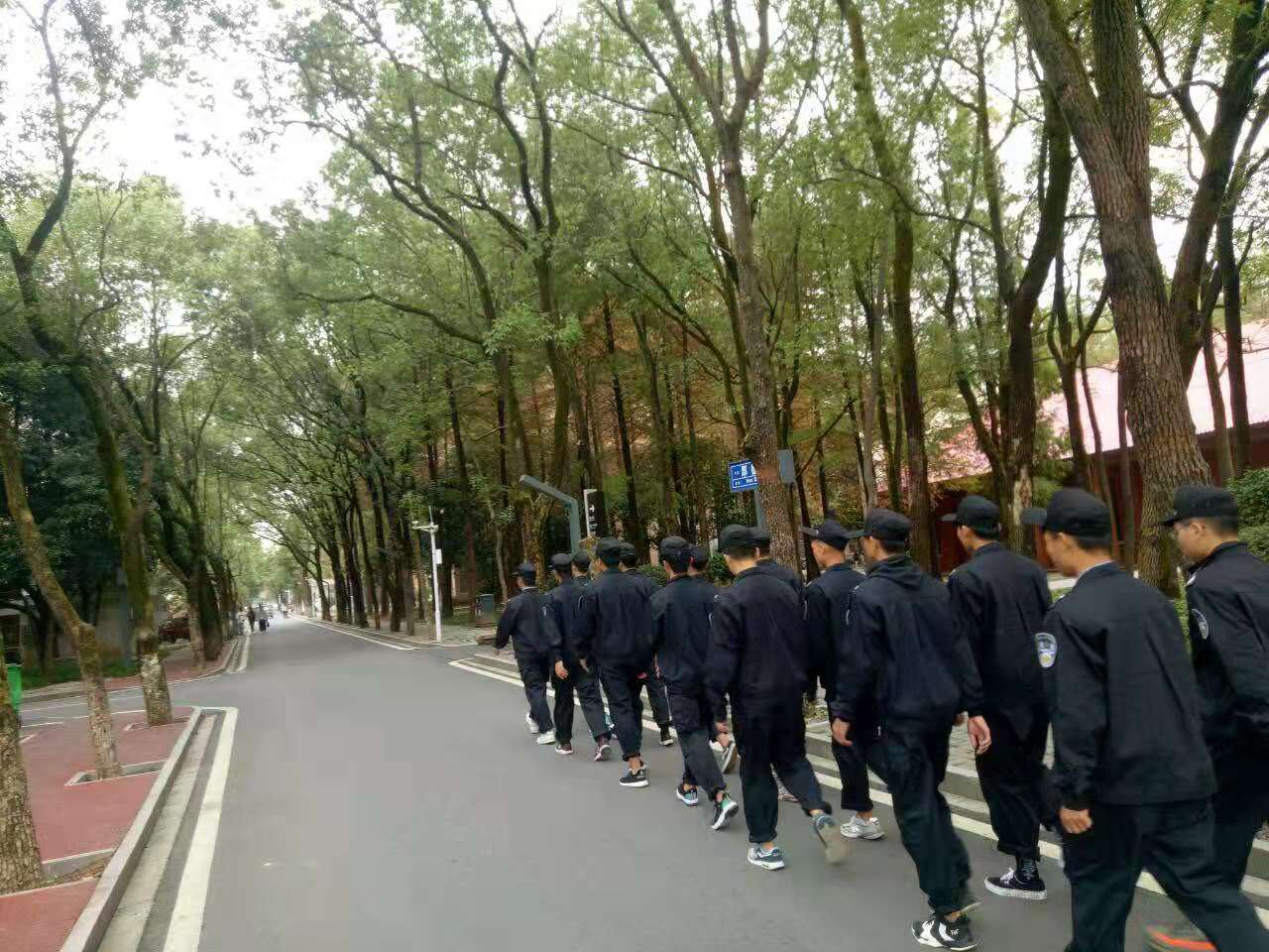 明日方舟中资深干员_明日方舟资深干员tag搭配_明日方舟资深干员tag最新