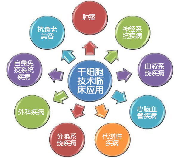 明日方舟资深干员tag最新_明日方舟资深干员tag搭配_明日方舟中资深干员