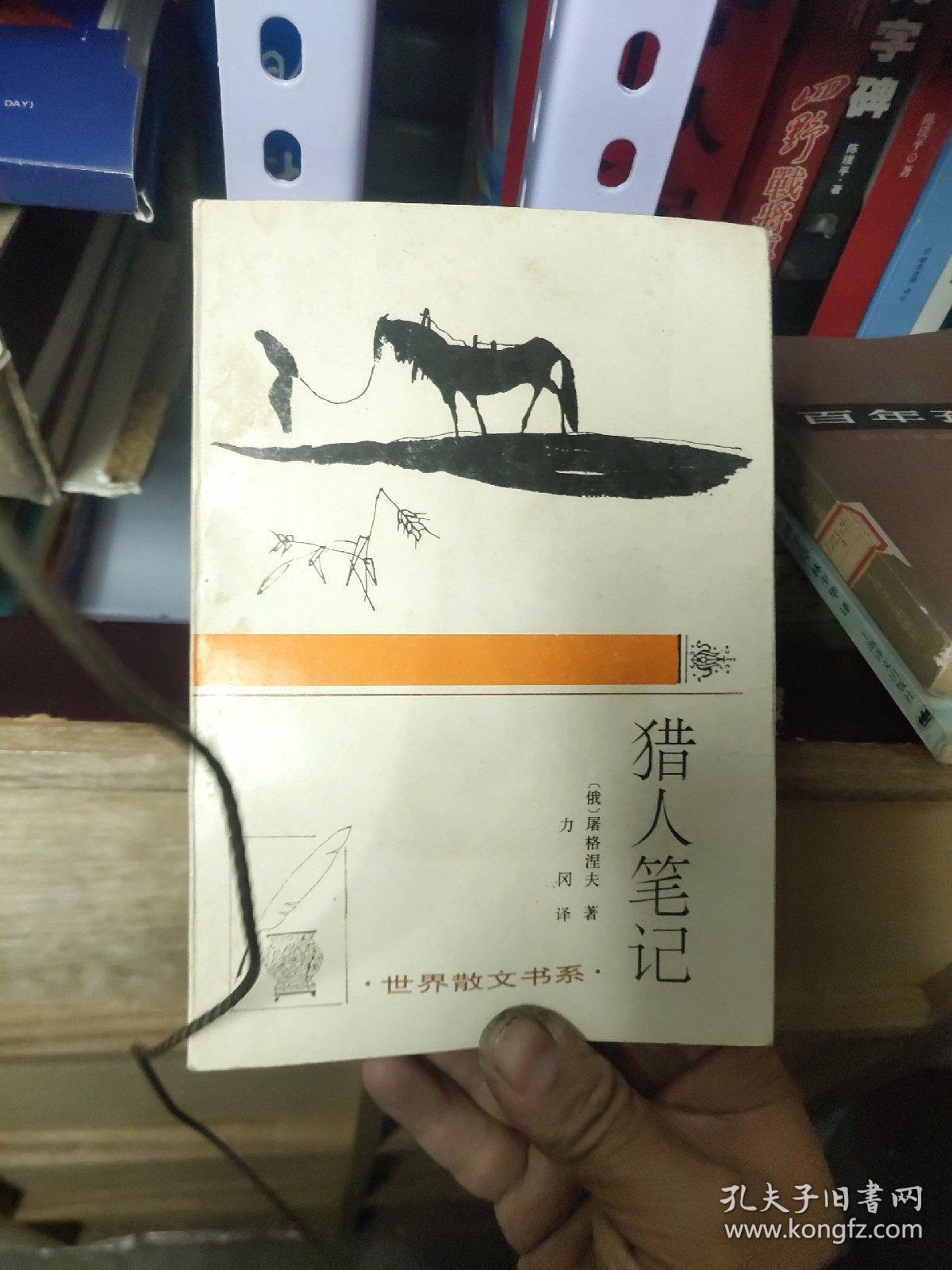 猎人笔记角色分析100字_猎人笔记主角性格介绍_猎人笔记人物分析