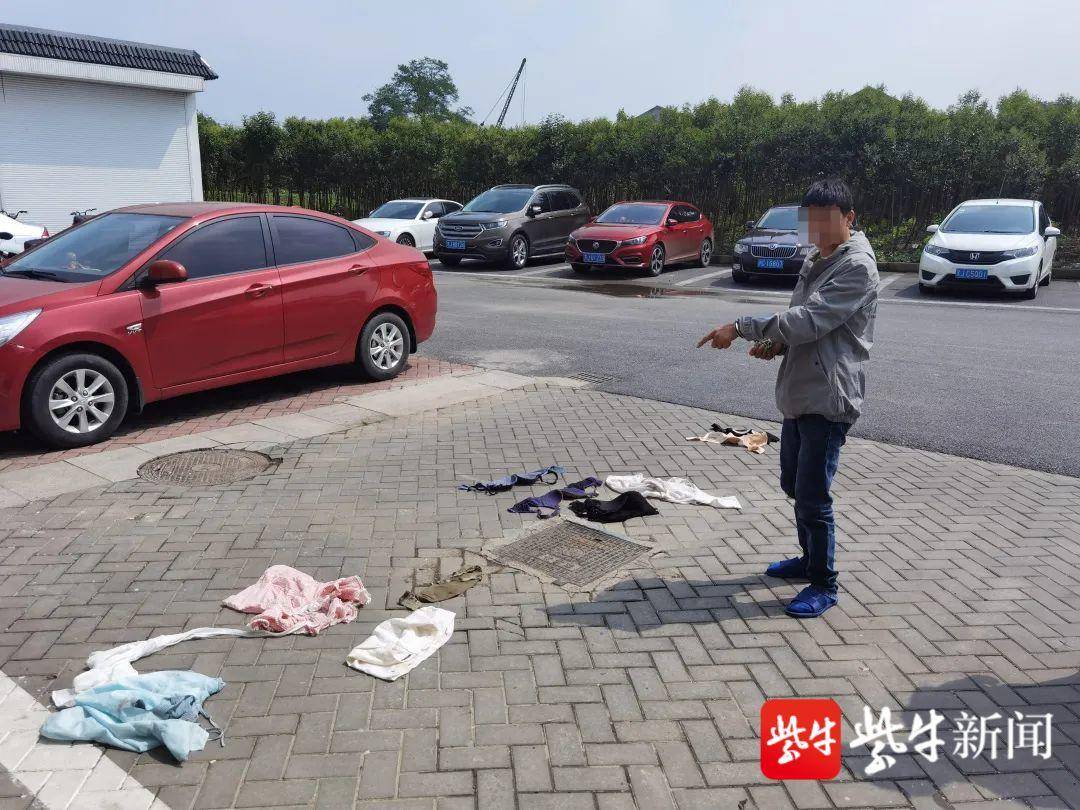 盗贼能完美网站看视频吗_盗贼能完美网站看电影吗_什么网站能看完美盗贼