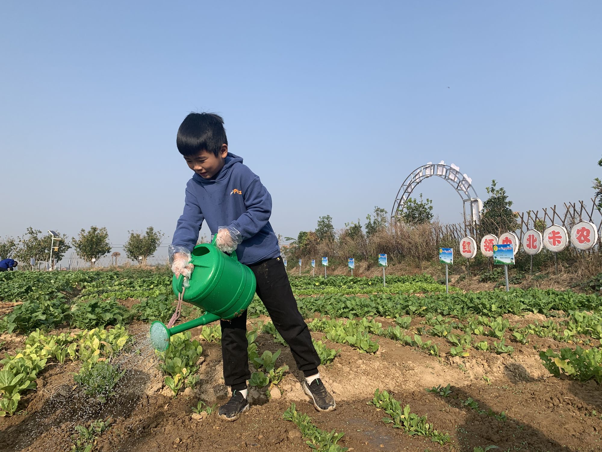 单机小游戏qq农场_单机农场破解版游戏_单机牧场农场类游戏