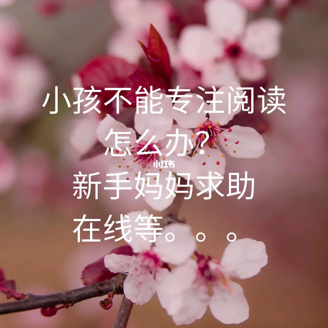 游侠文明反应继续没点了怎么办_游侠文明反应继续没点击_游侠文明6点继续没反应