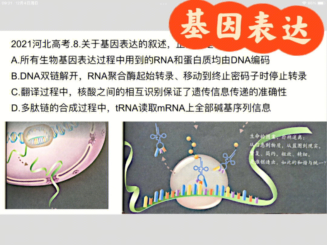 生物知识玩学游戏有用吗_生物知识玩学游戏怎么样_玩游戏学生物知识