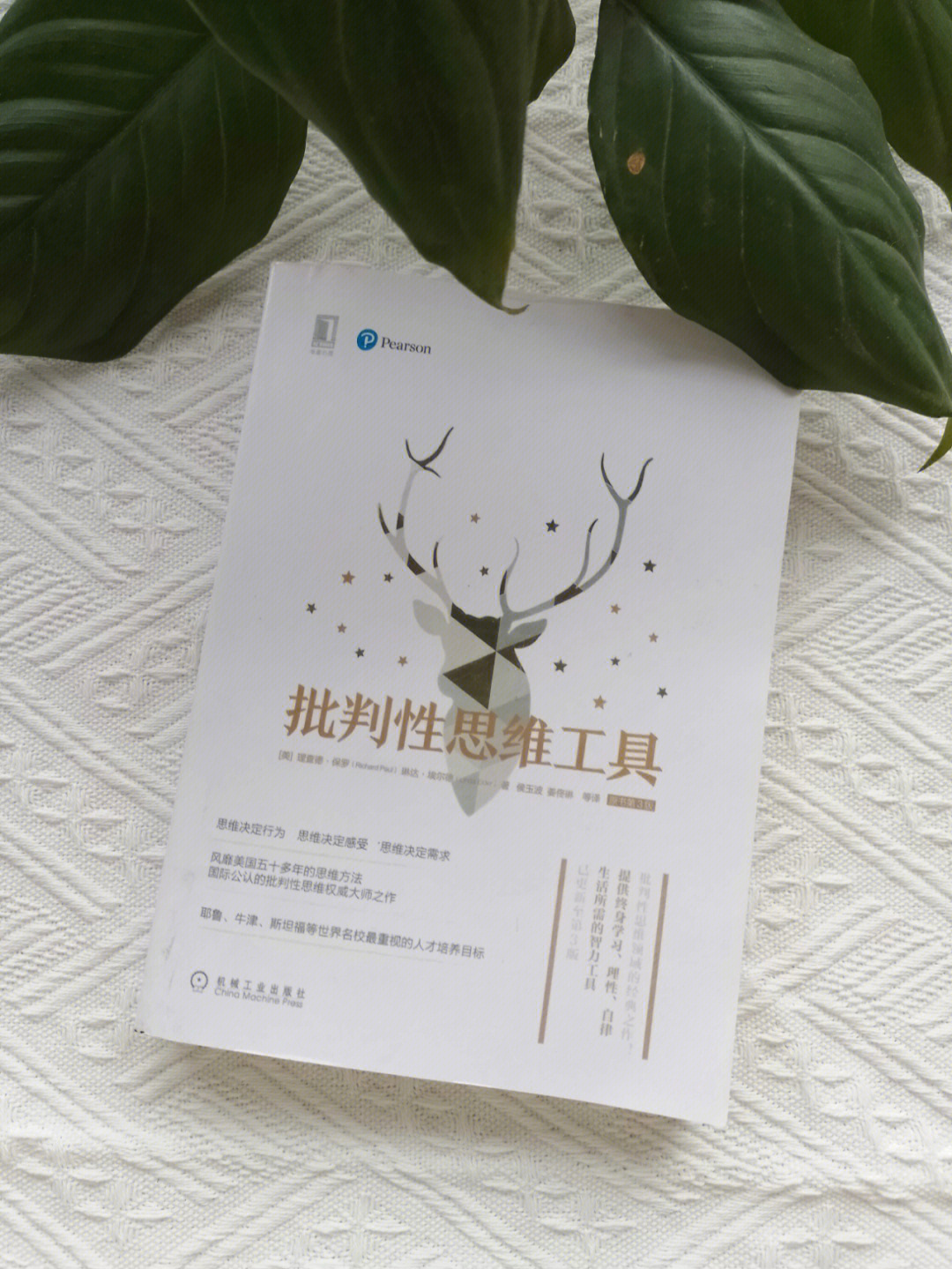 田芳芳_田芳芳贩卖儿童_田芳芳个人介绍