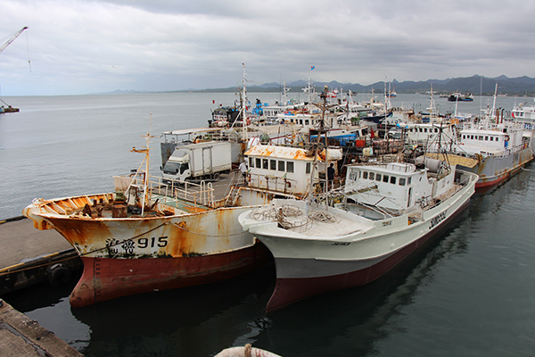 深圳海钓_海钓天国_海钓天堂在哪