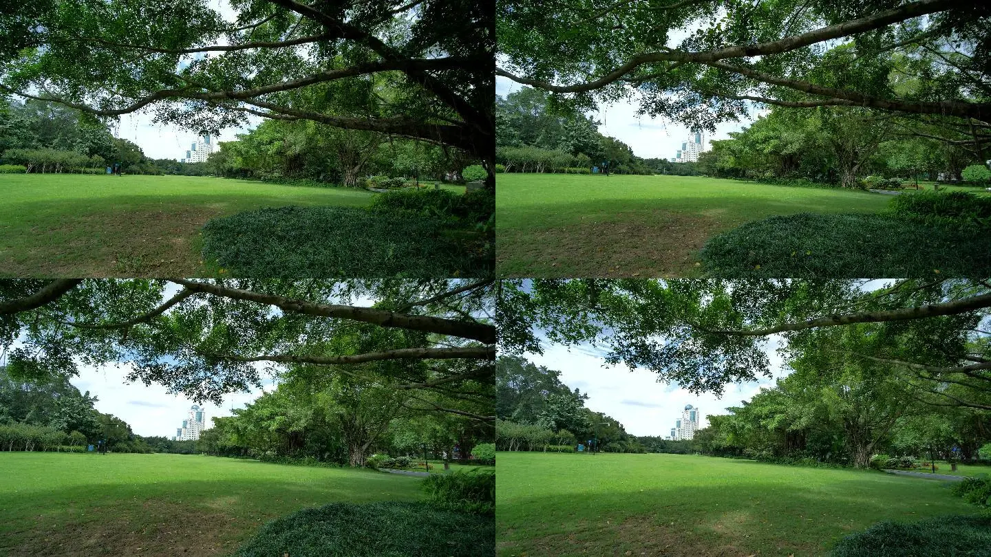 久草在线在线精品观看_轻轻色_轻轻草_轻轻草在线视频