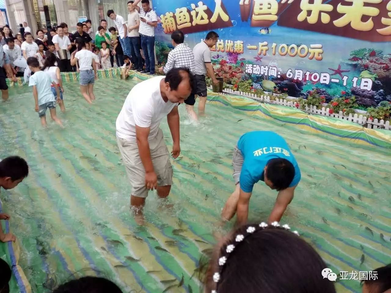 天天爱捕鱼_捕鱼爱吃什么_捕鱼爱好者1