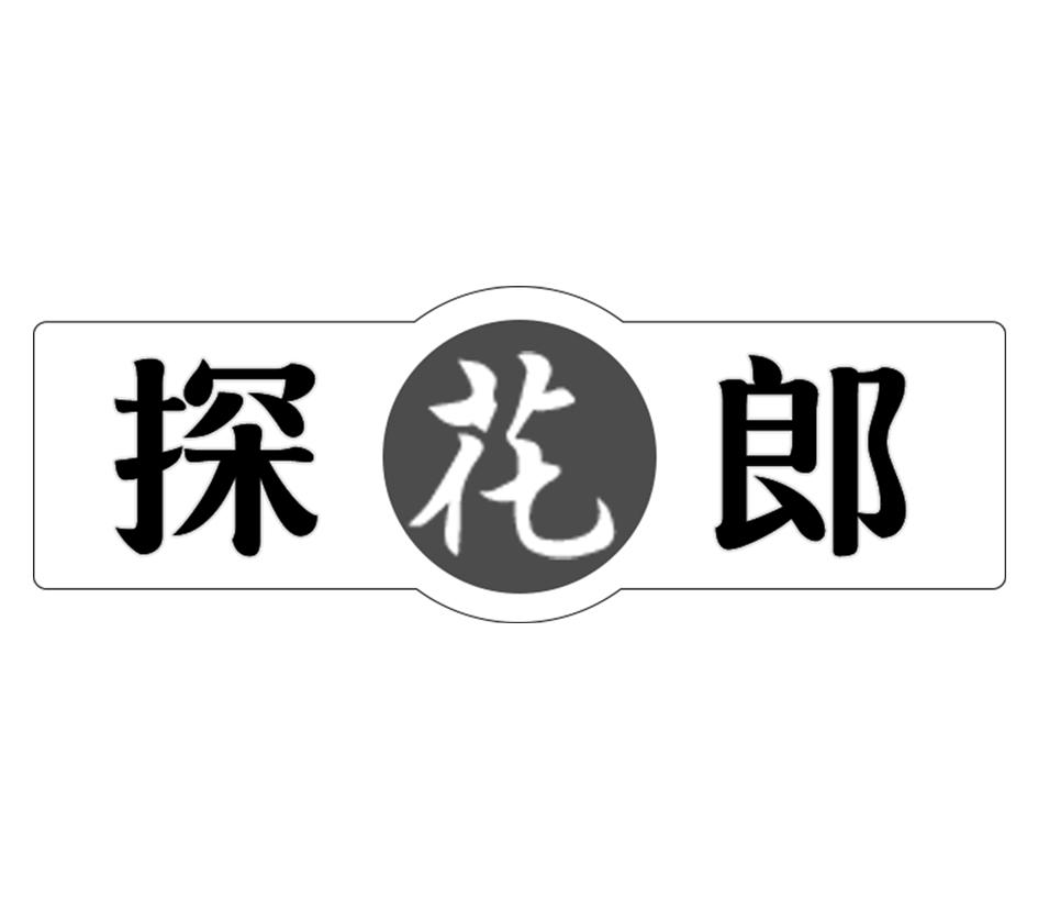 探花软件下载攻略 探花软件下载攻略