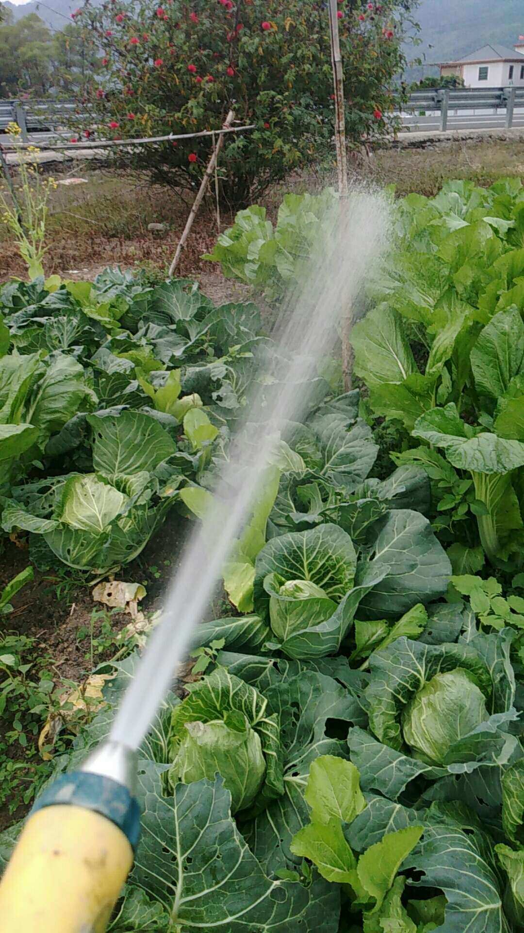 种植小游戏_种植游戏小说_种植类小游戏