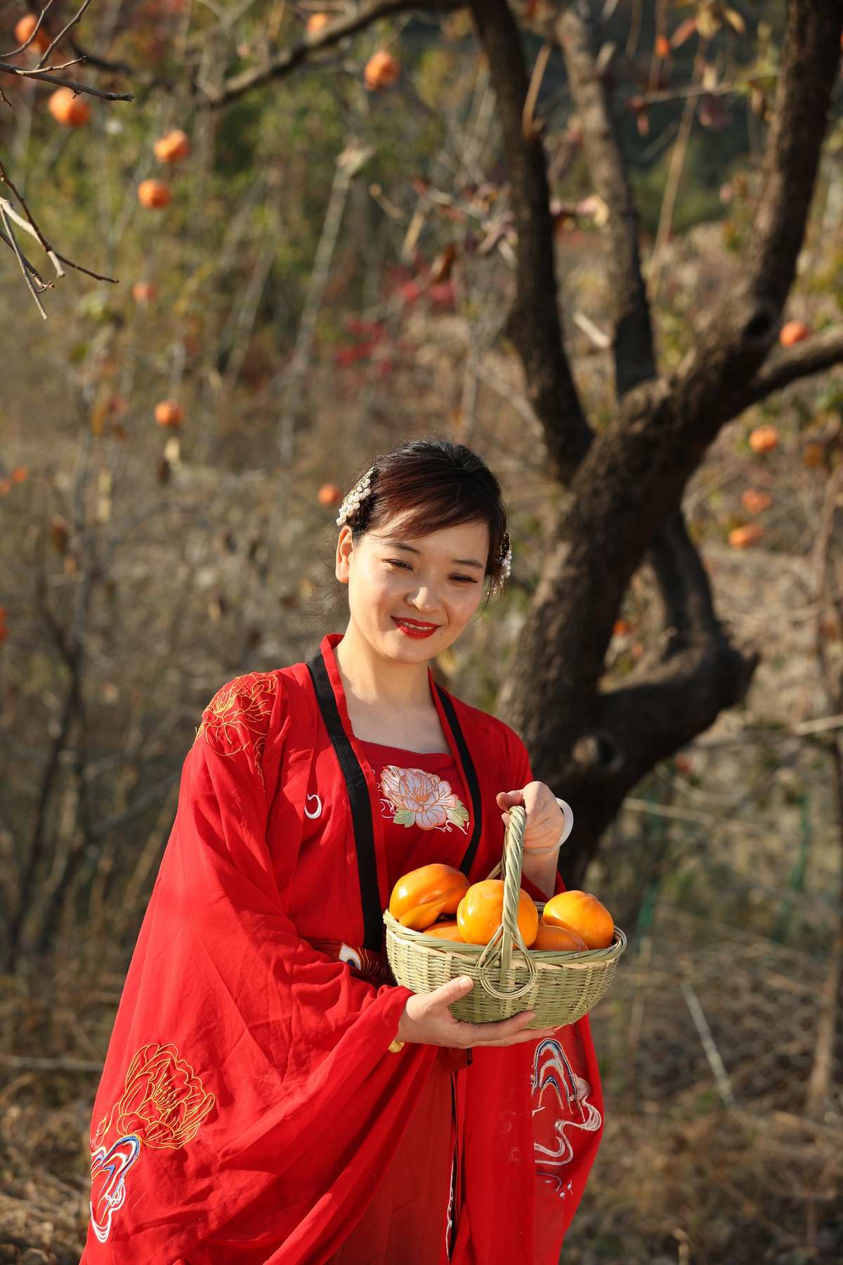 柿子影视iOS口令_柿子影视暗号_柿子影视
