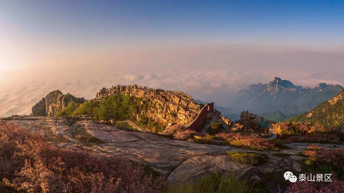 泰山王_泰山王董和_泰山王白九霄视频