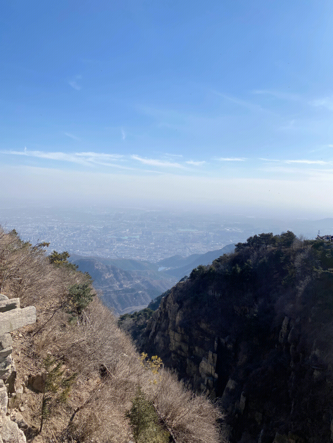 泰山王_泰山王董和_泰山王白九霄视频