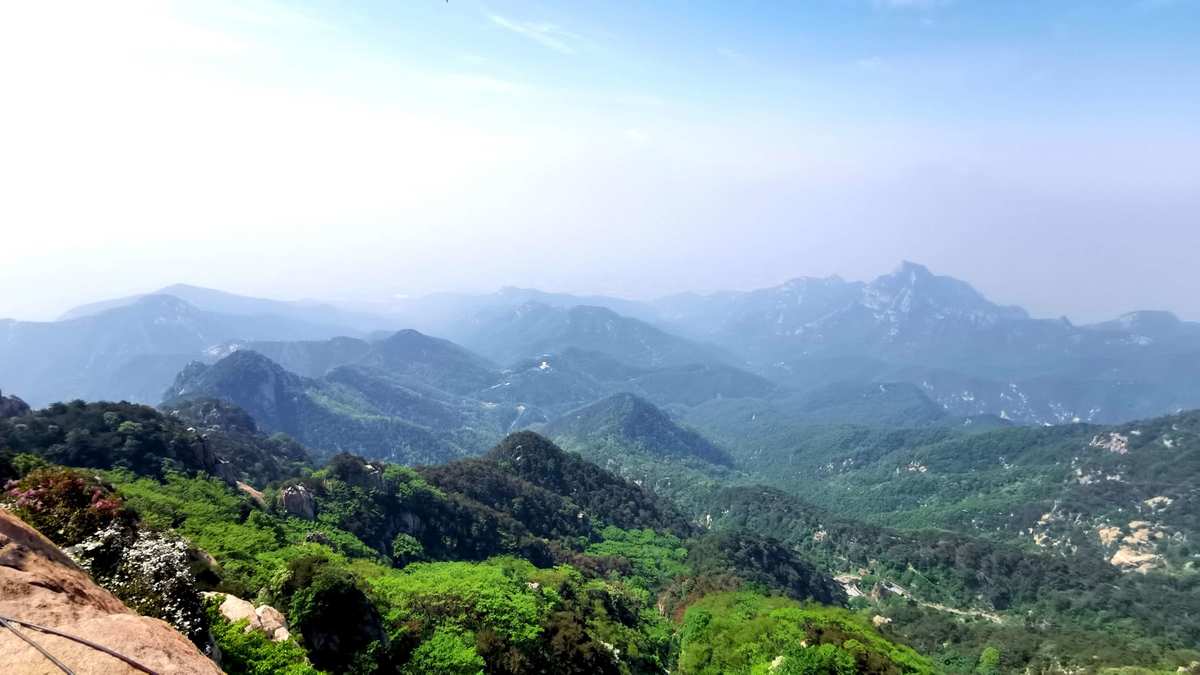 泰山王_泰山王白九霄视频_泰山王董和