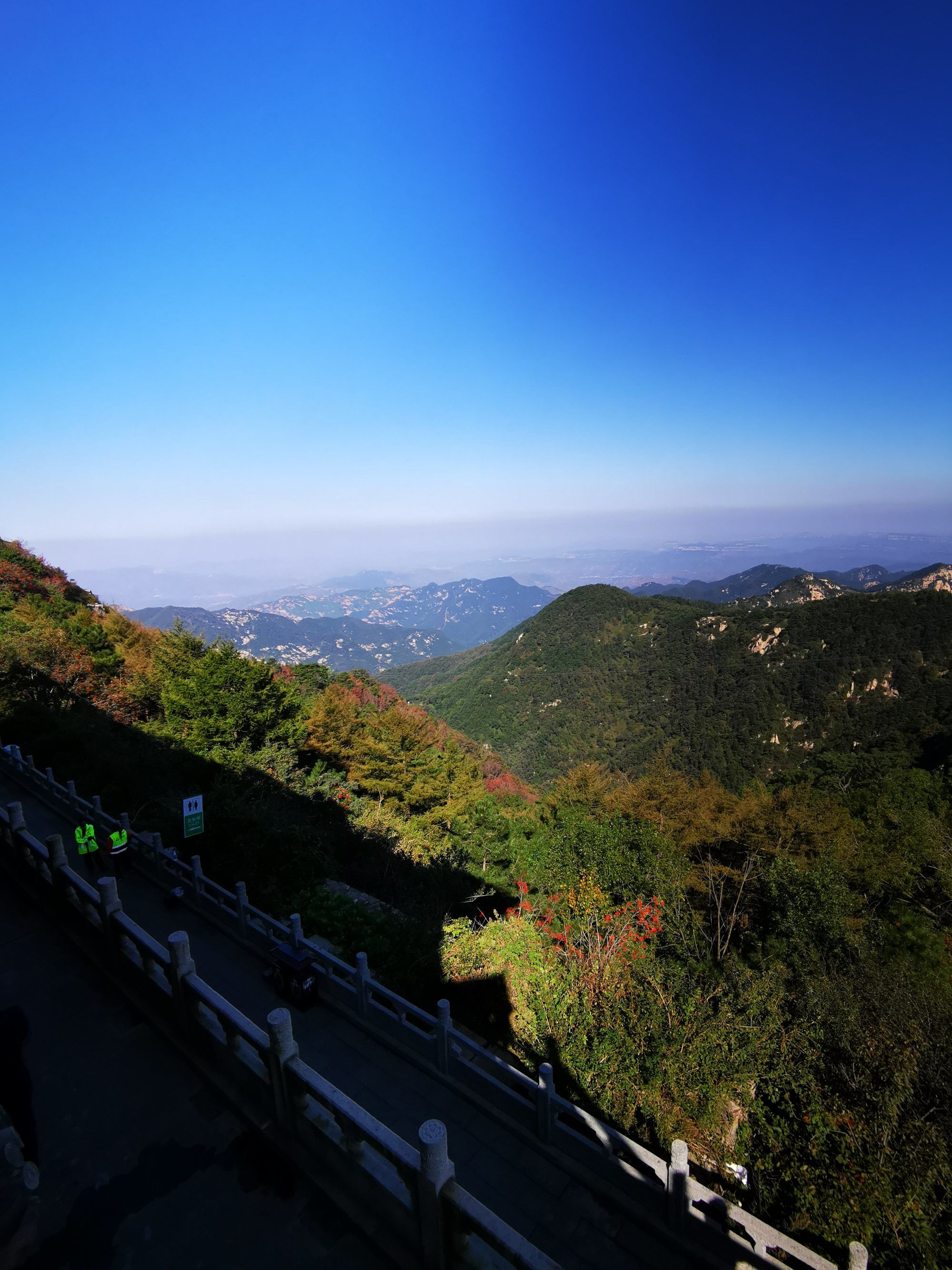 泰山王董和_泰山王白九霄视频_泰山王