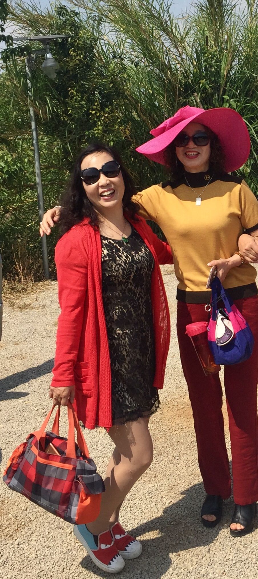 歌家是什么_歌家是什么牌子_给我一个家是什么歌