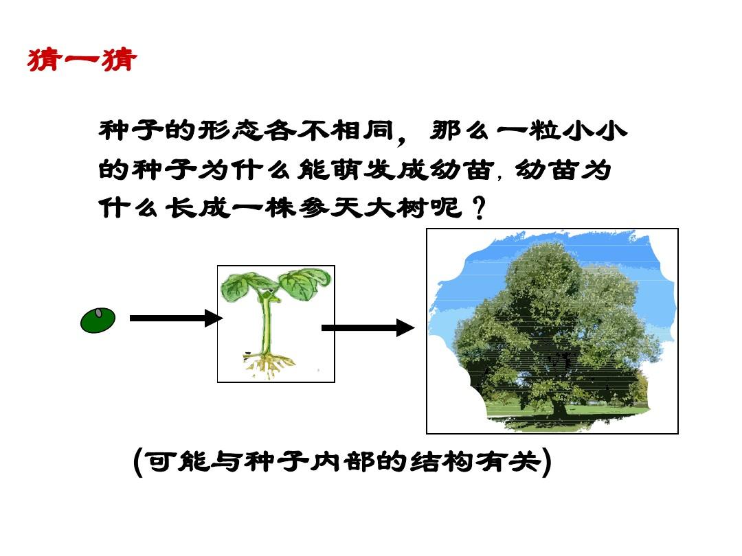 我的孩子：生命之泉下载_孩子生命之泉破解版_生命泉水