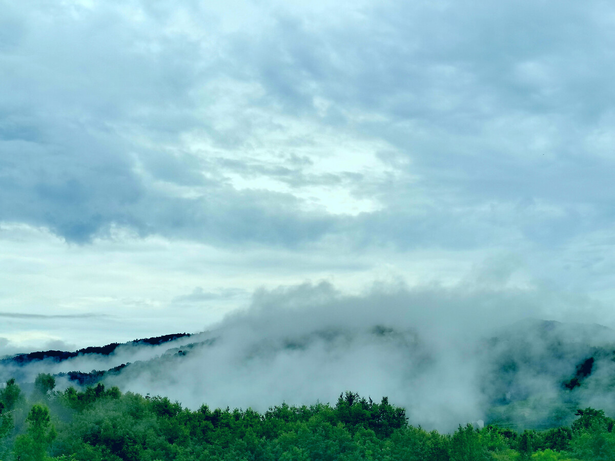 安微黄山天气_天气微凉下一句是什么_微天气