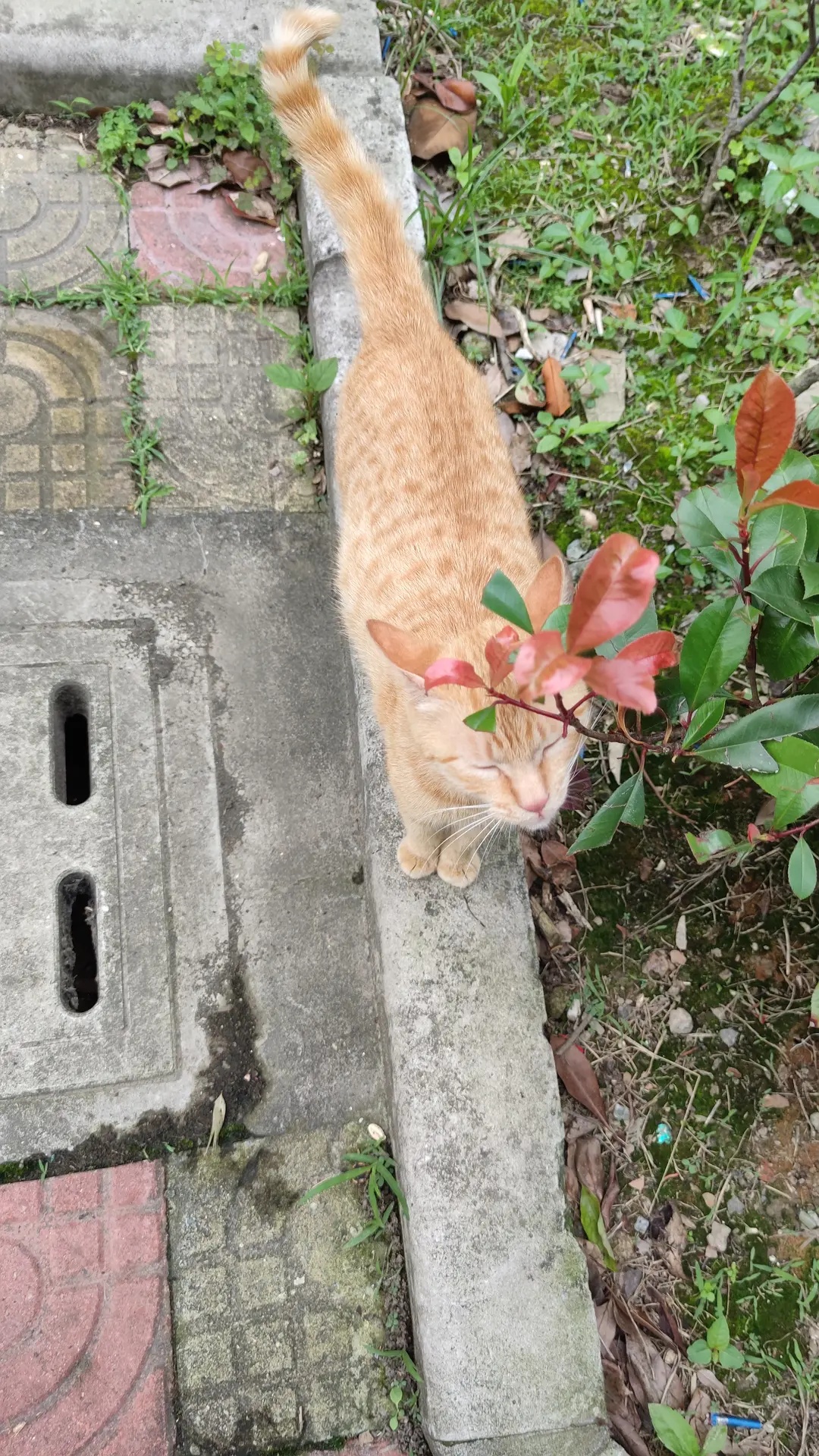 邻居朋友圈文案_邻居的朋友_邻居朋友的相处之道