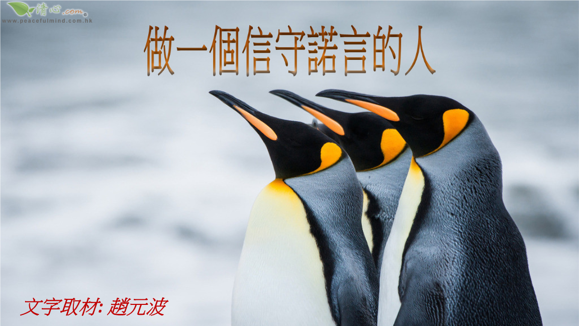 诺言下载开票软件_诺言下载_诺言下载好了怎么登录