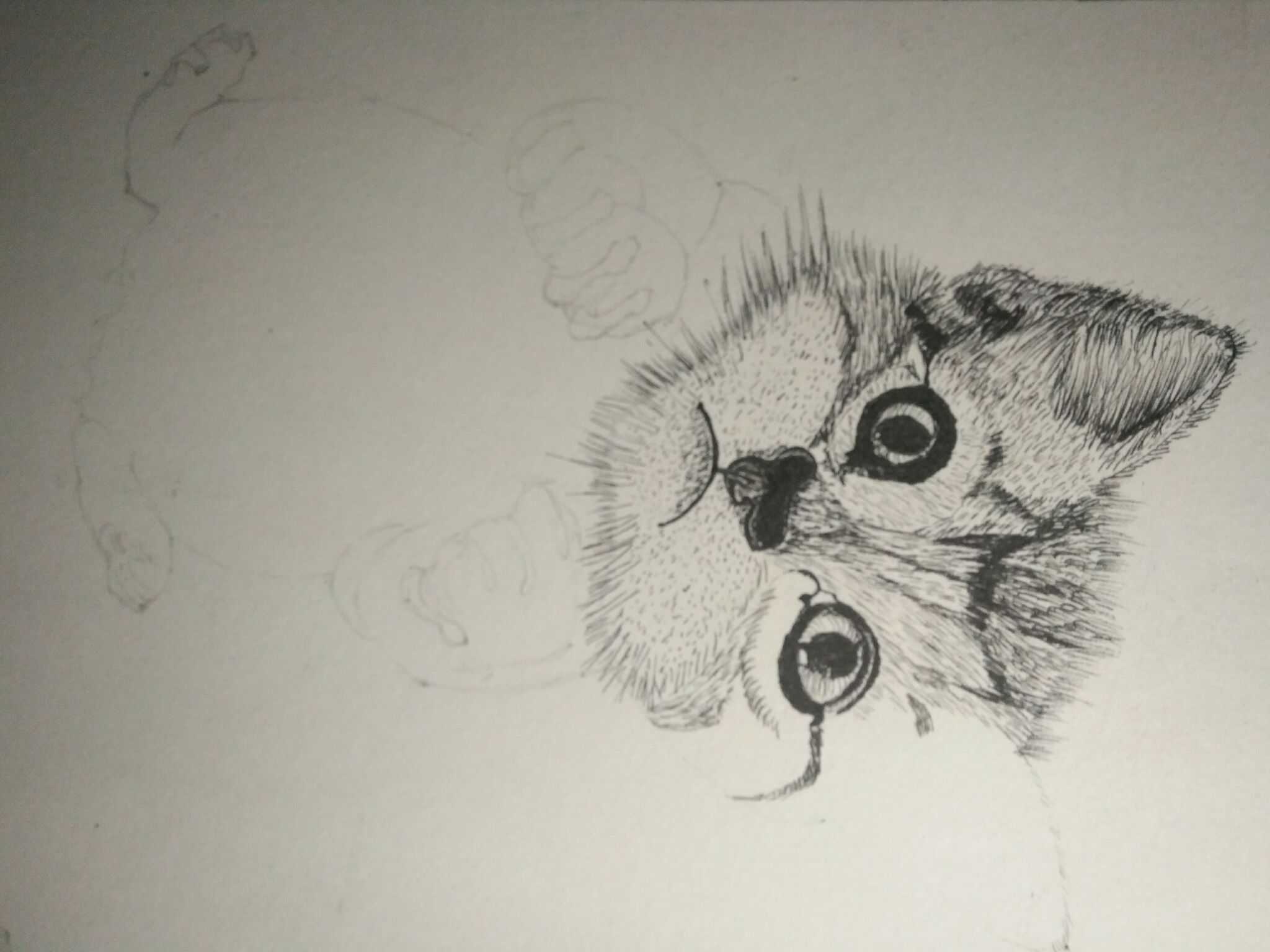 笔画猫的简笔画_卡通简笔画猫_一笔画猫