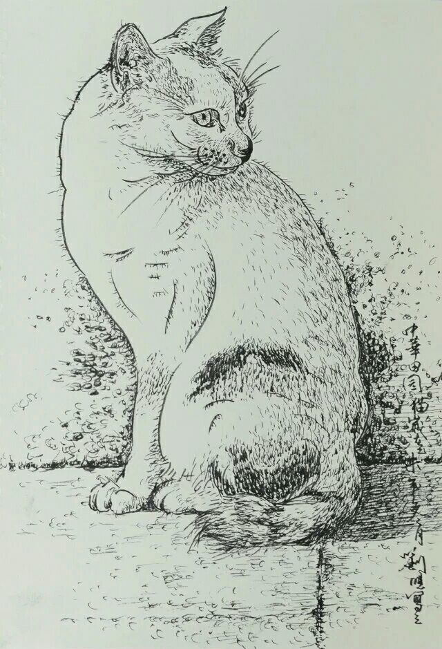 笔画猫的简笔画_一笔画猫_卡通简笔画猫