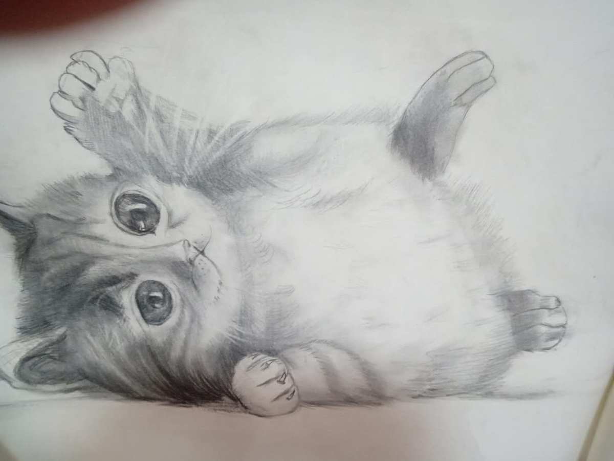 卡通简笔画猫_笔画猫的简笔画_一笔画猫