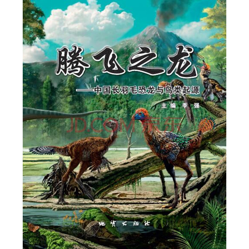 龙鸟_鸟龙的图片_鸟龙玉