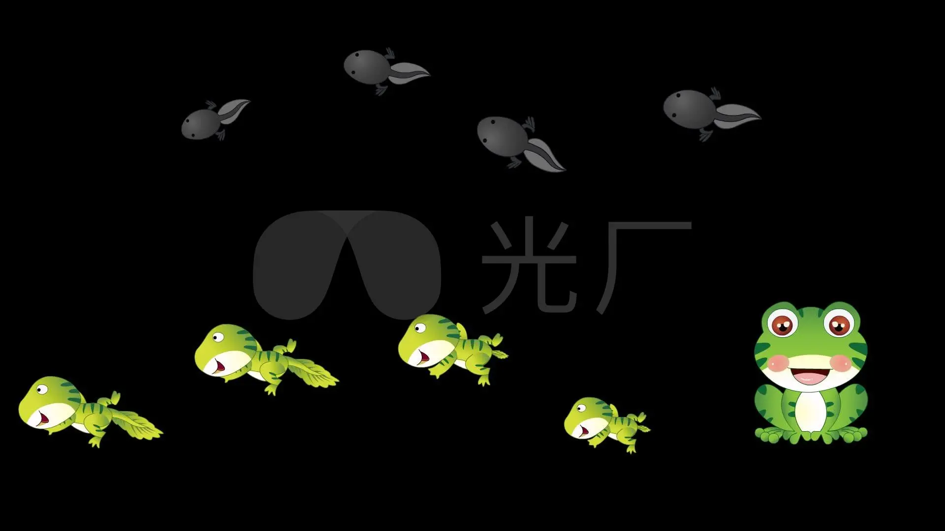 小蝌蚪小视频_小蝌蚪小视频_小蝌蚪小视频