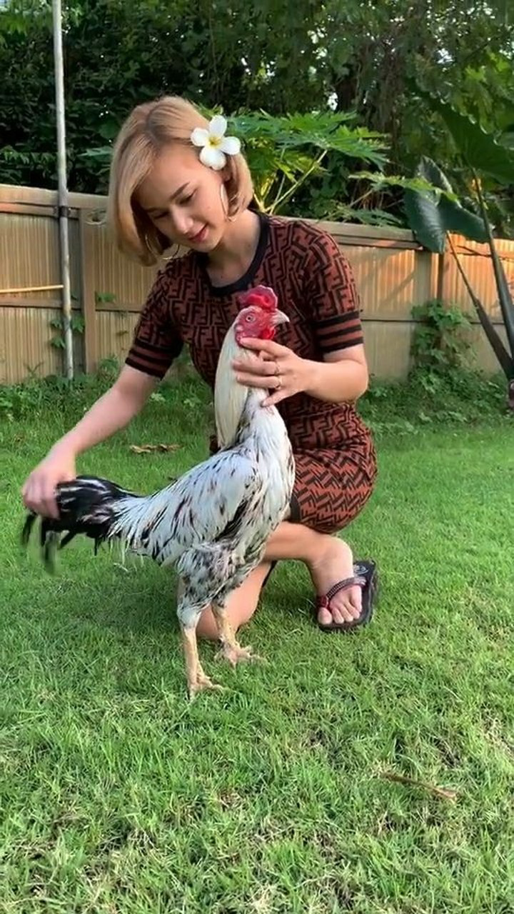 在线娱乐平台:打造最佳美女下载体验 在线娱乐平台:打造最佳美女下载体验