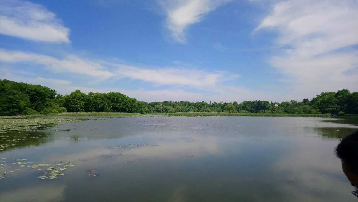 琪琪影色_夏色泡影_德惠市三角泡魏影