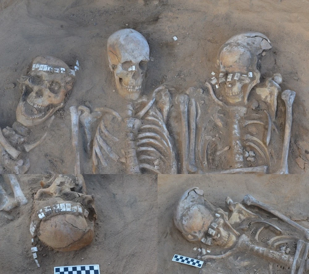 古遗物_遗物古代怎么说_遗物古文怎么说