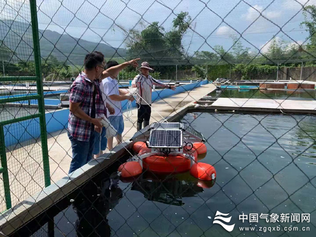 雅罗鱼又叫什么鱼_雅罗鱼怎么做好吃_雅罗鱼