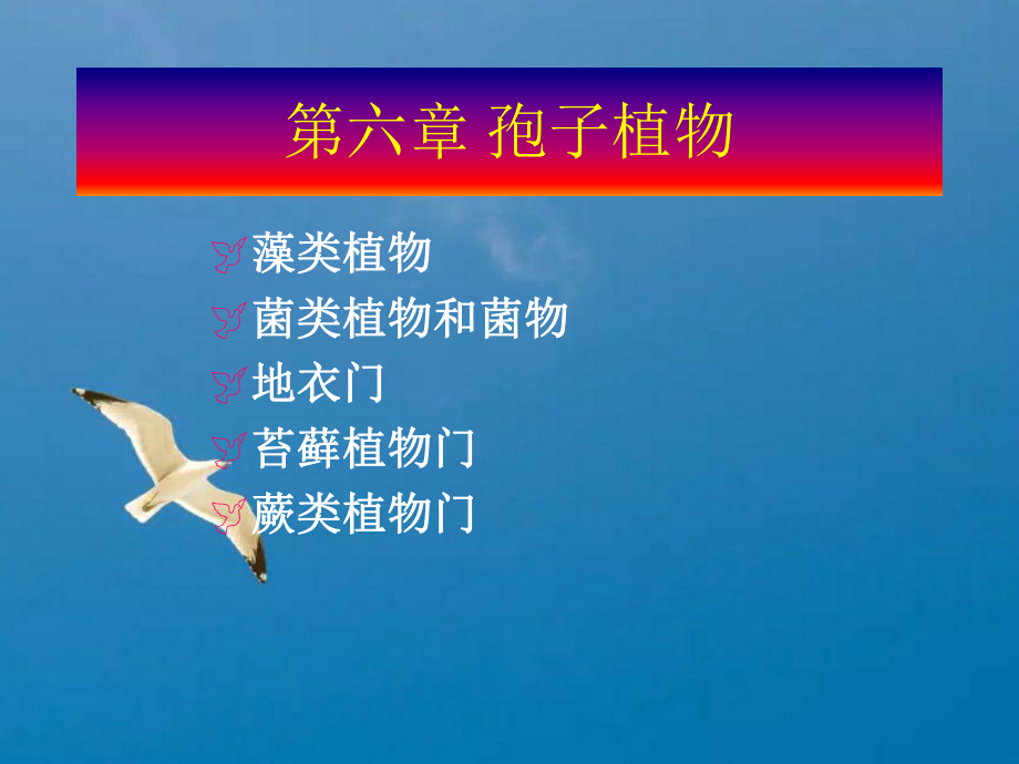 孢子秘籍无限复杂_孢子秘籍_孢子秘籍无敌