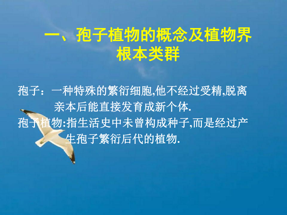 孢子秘籍无敌_孢子秘籍无限复杂_孢子秘籍