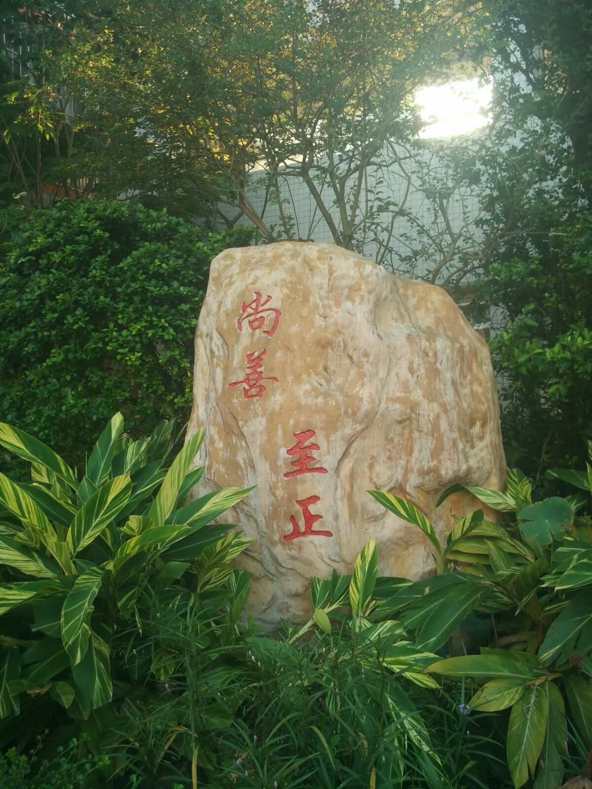 超级人类在Steam叫什么_超级人类_超级人类停服