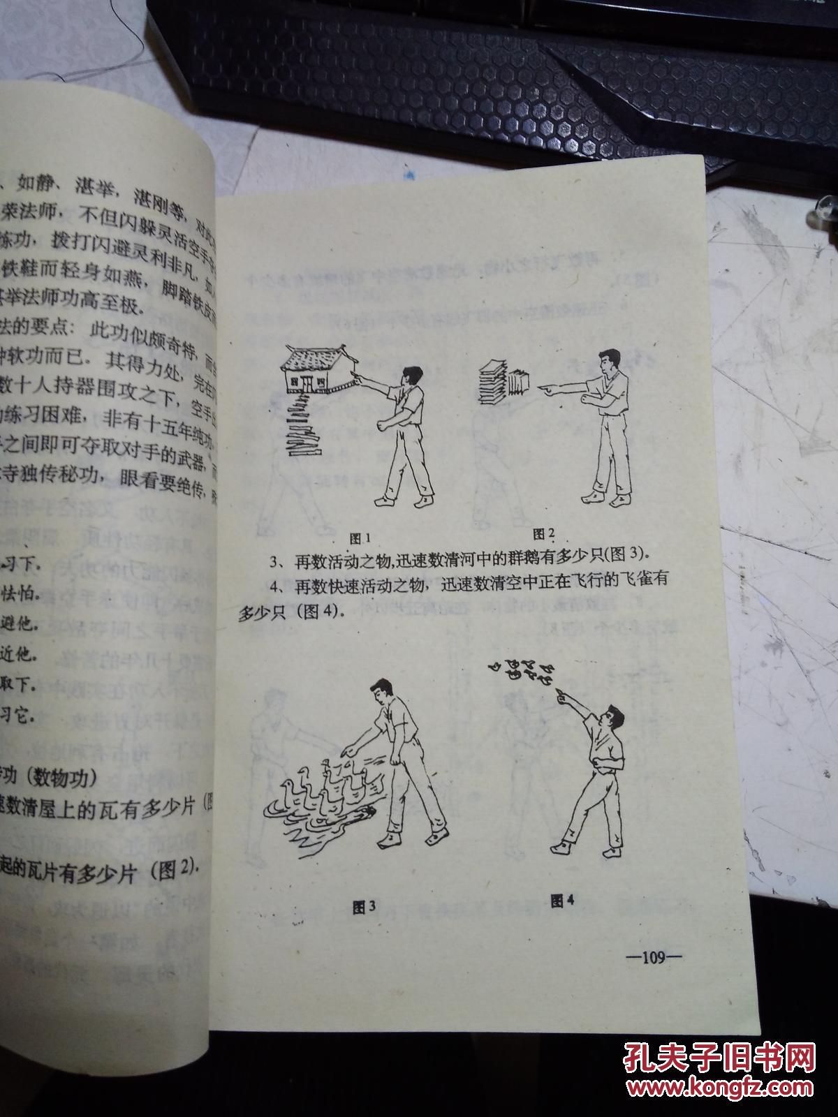 少林轻功飞檐走壁视频_少林轻功_少林轻功怎么练