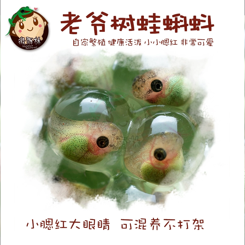 小蝌蚪旧版安装包_小蝌蚪旧版安装包_小蝌蚪旧版安装包