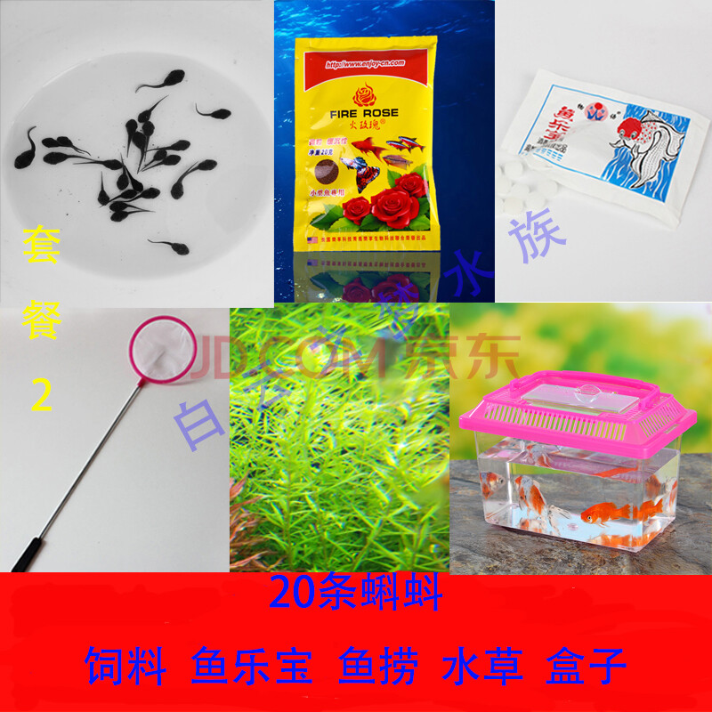 小蝌蚪旧版安装包_小蝌蚪旧版安装包_小蝌蚪旧版安装包