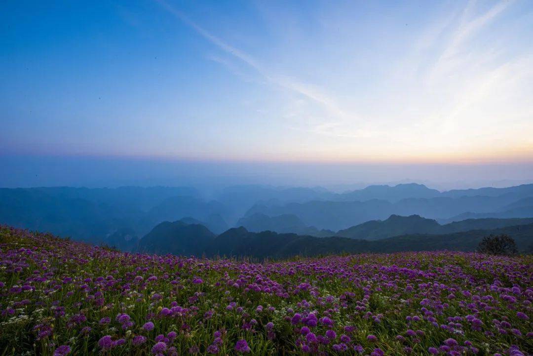 盘丝岭最多秒几_梦幻西游盘丝岭剧情是多少级的_盘丝岭剧情