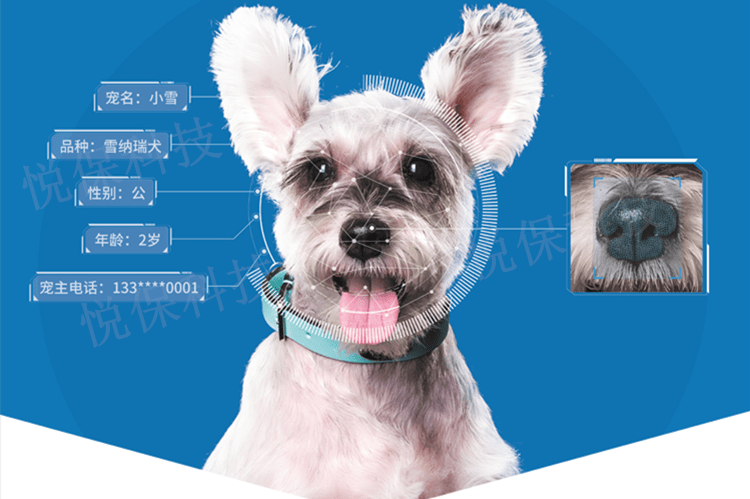 识别狗狗品种软件_狗狗识别品种软件下载_狗狗识别品种app