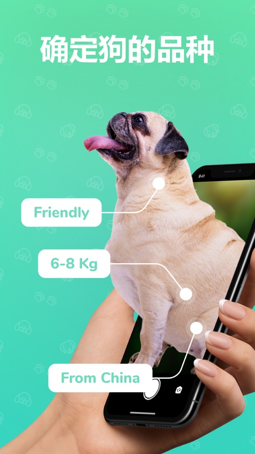 狗狗识别品种app_狗狗识别品种软件下载_识别狗狗品种软件
