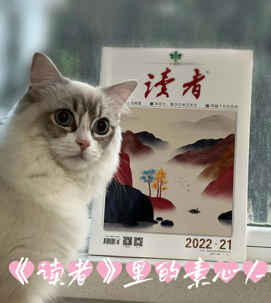 小说导出器_七猫小说下载的小说怎么导出_小说软件下载的小说怎么导出