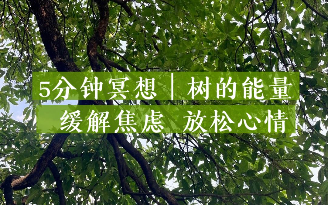 解压宝盒破解版_解压宝盒无广告下载安装_解压宝盒