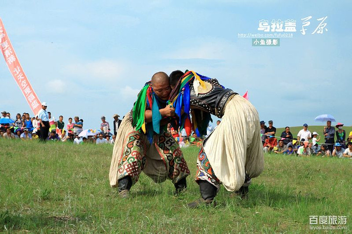 乌拉拉是什么意思_拉乌啥意思_乌拉意思