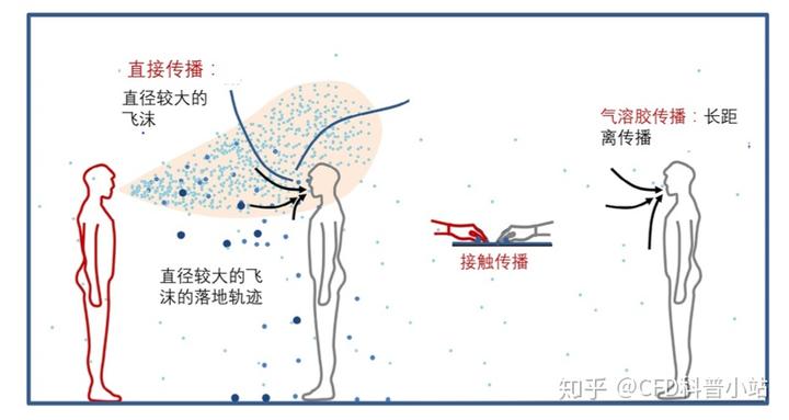 死亡效应2_死亡效应结构域_死亡效应一